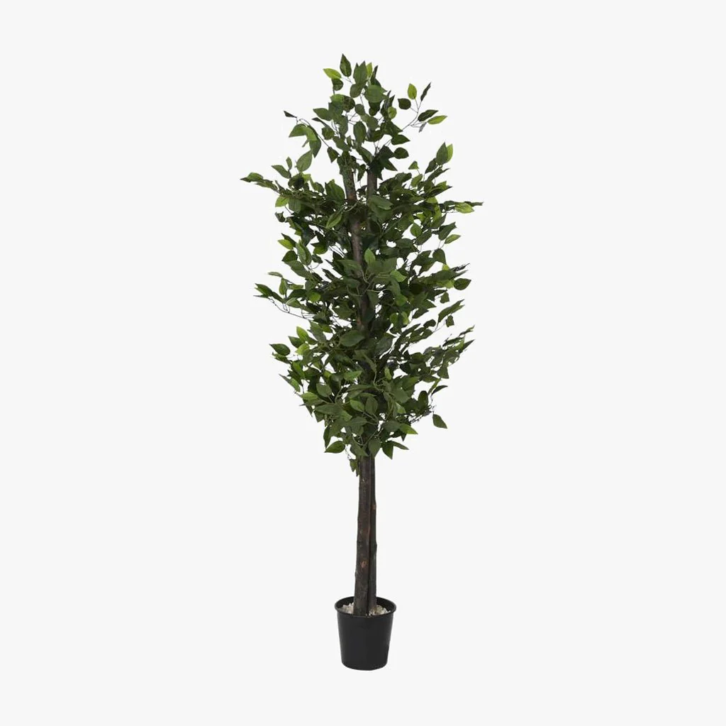 Árvore Ficus 180cm EVERLEAF