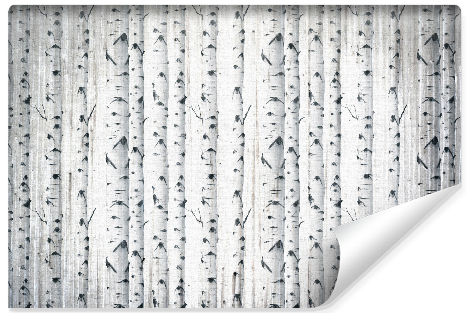 Fototapeta Las Brzozowy W Stylu Vintage 90x60cm