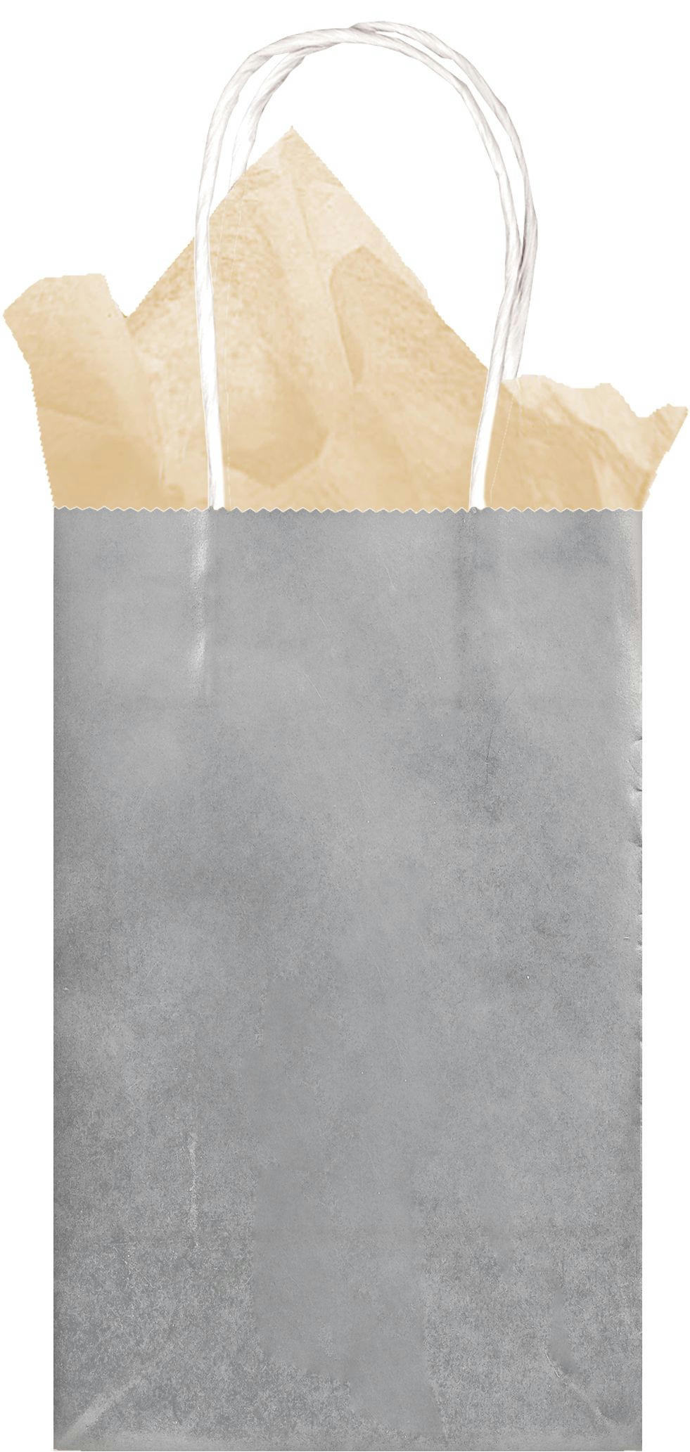 Extra Small Silver Paper Gift Bag