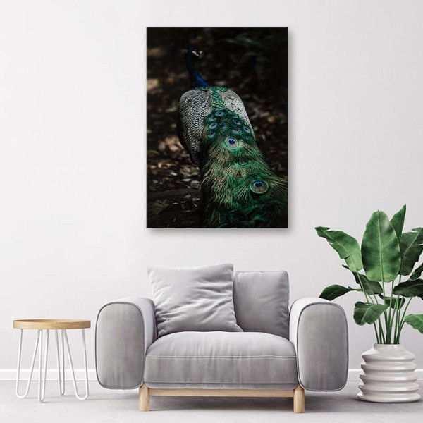 Feeby Obraz na płótnie Pawi ogon 40x60