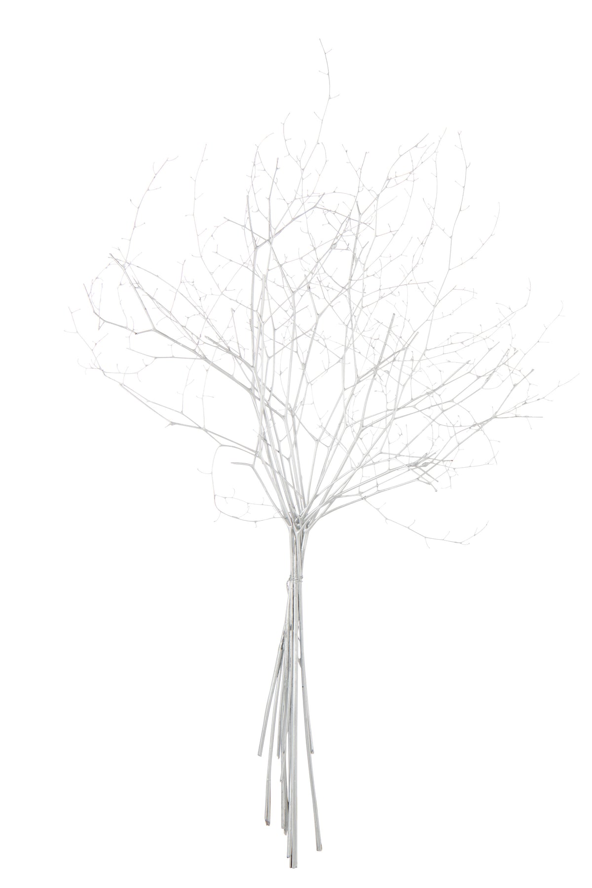 J-Line decoratie tak droogbloemen - riet - zilver