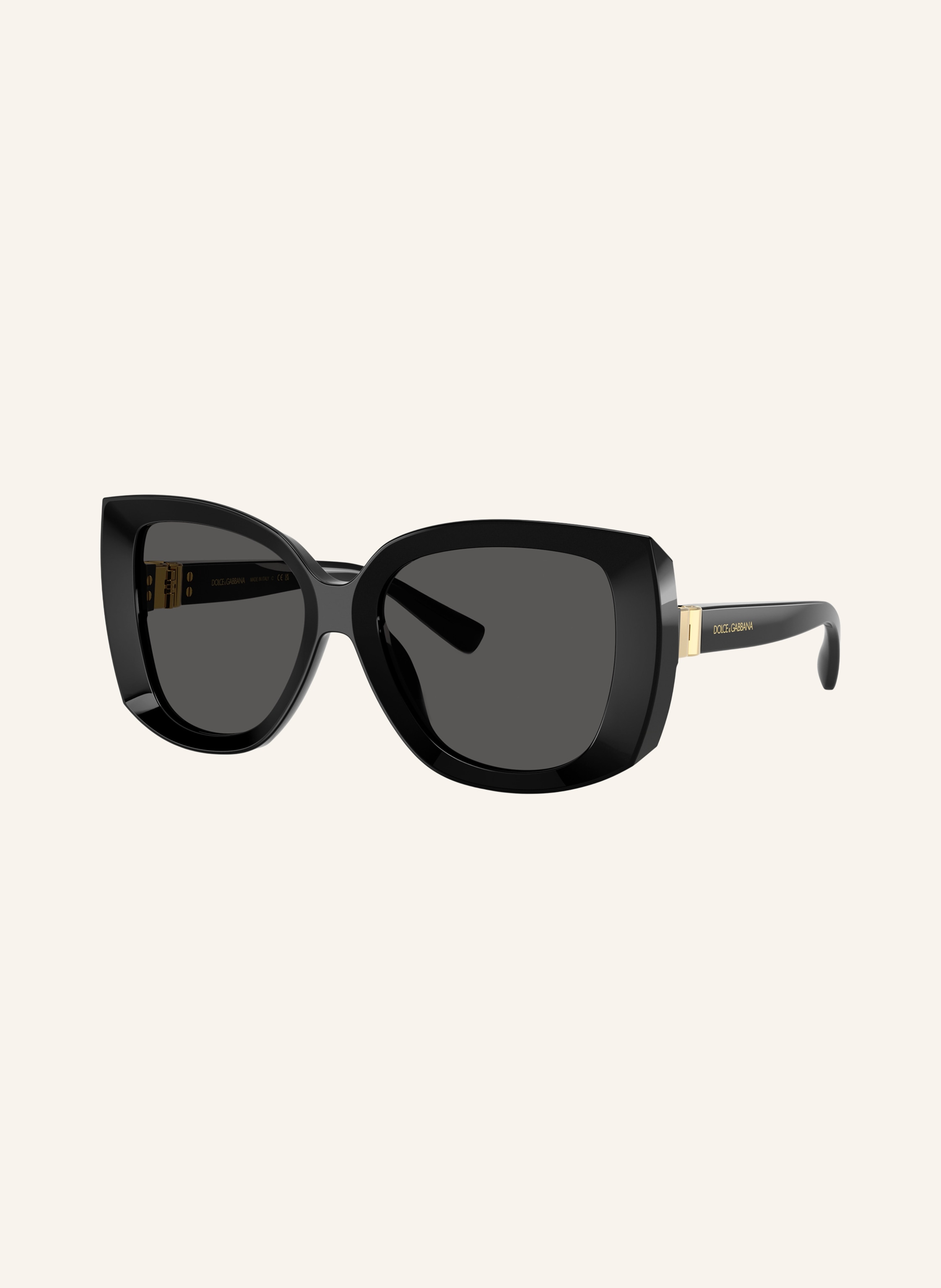 DOLCE & GABBANA Sonnenbrille DG4495
