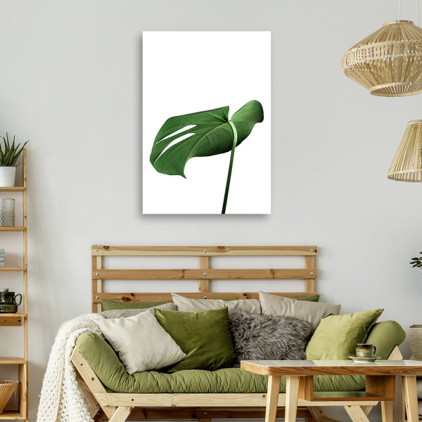 Feeby Obraz na płótnie, Monstera liść roślina 40x60