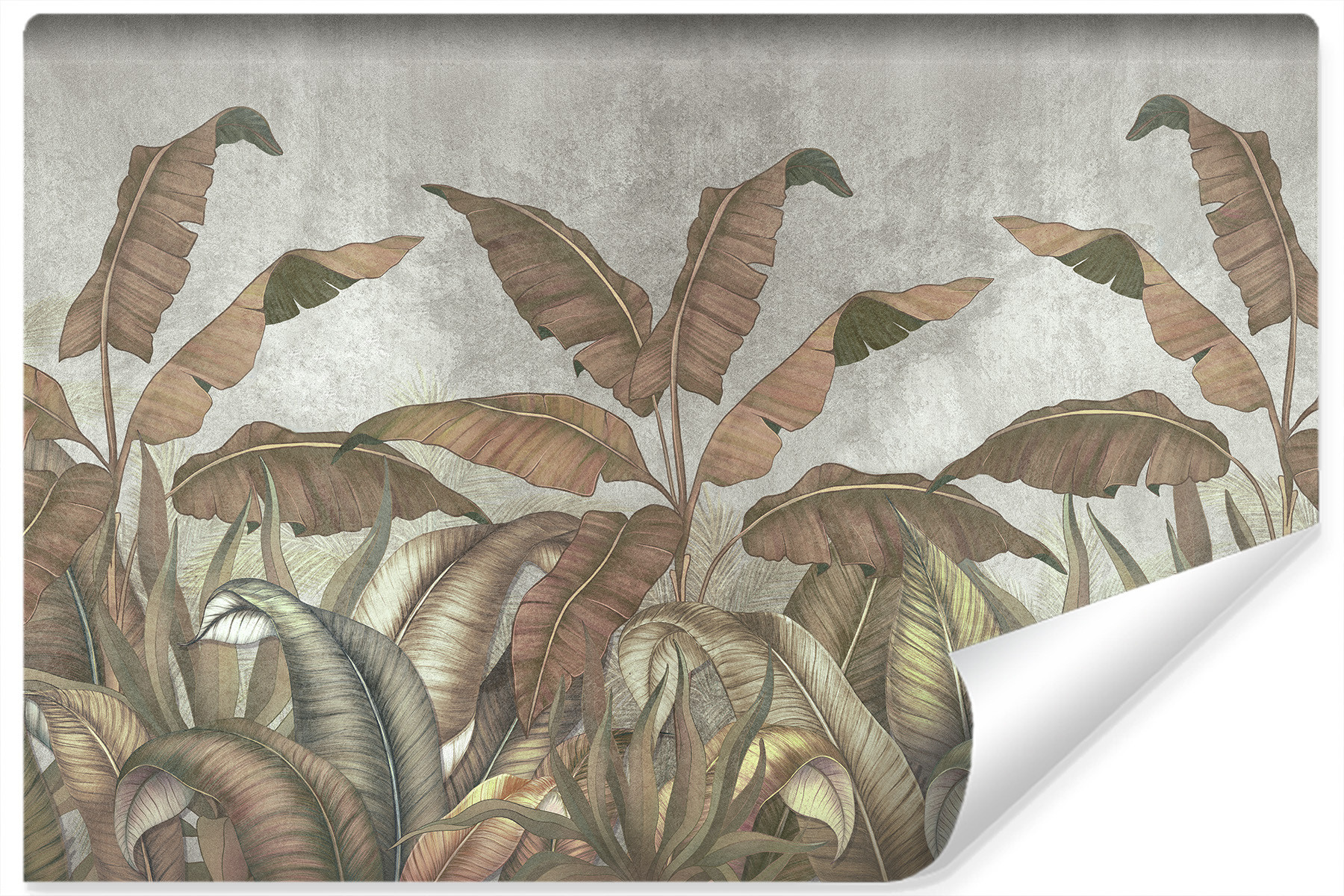 Fototapeta Liście Tropikalne BETON Natura 90x60cm