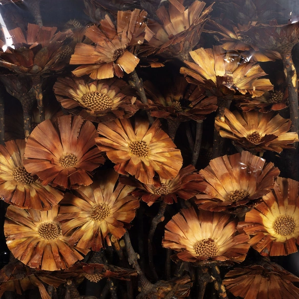 Trockenblumen