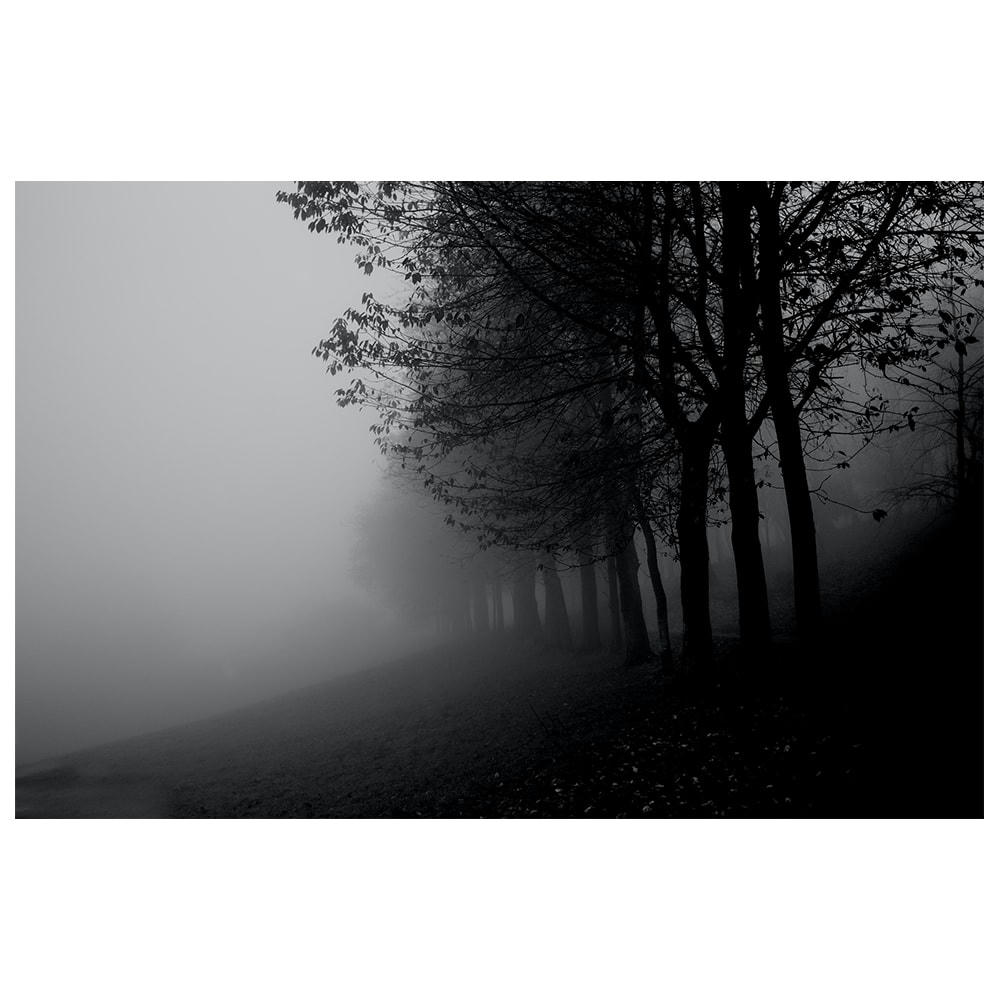 - Tableau impression sur toile brouillard dans les arbres 60x90cm