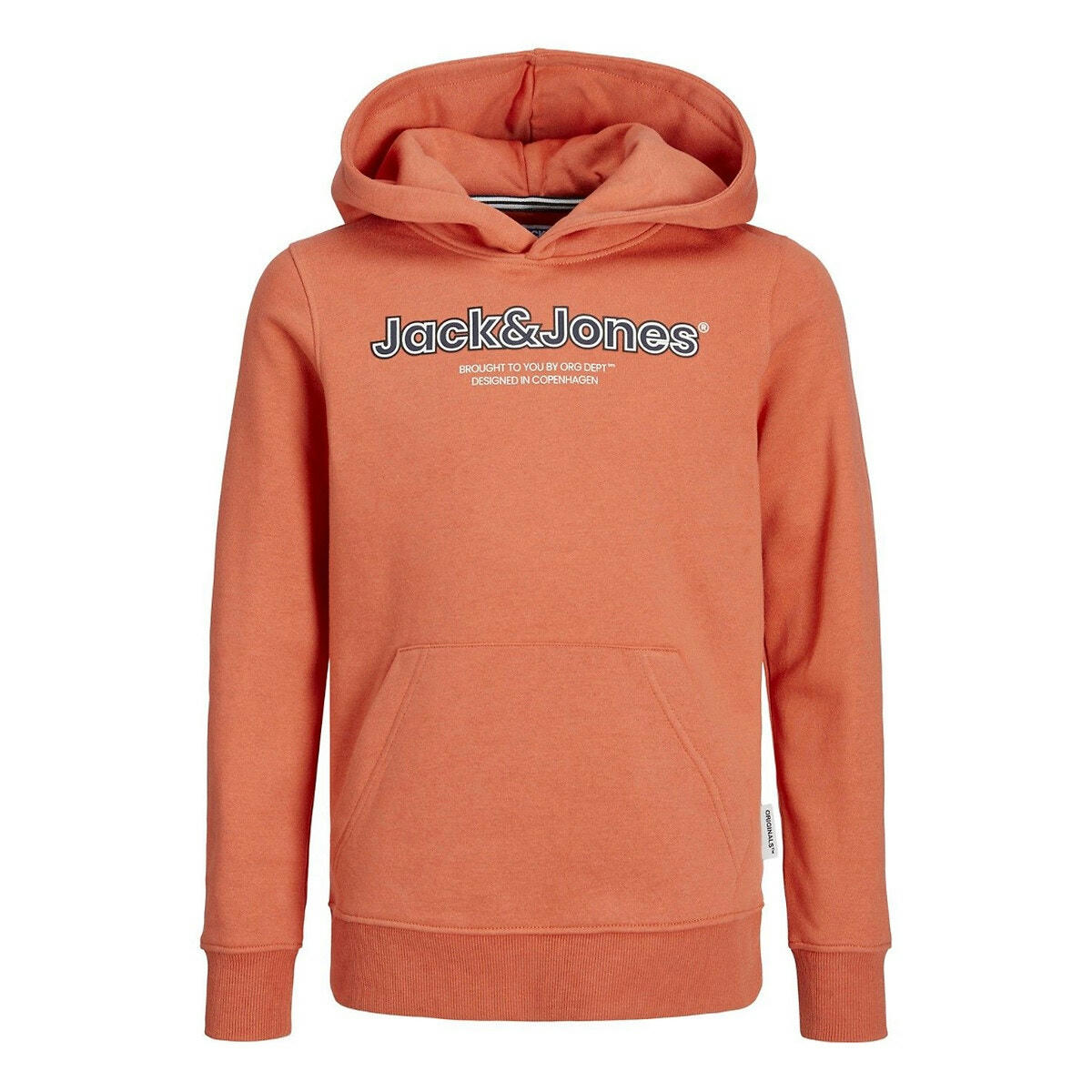Sweat molletonné à capuche