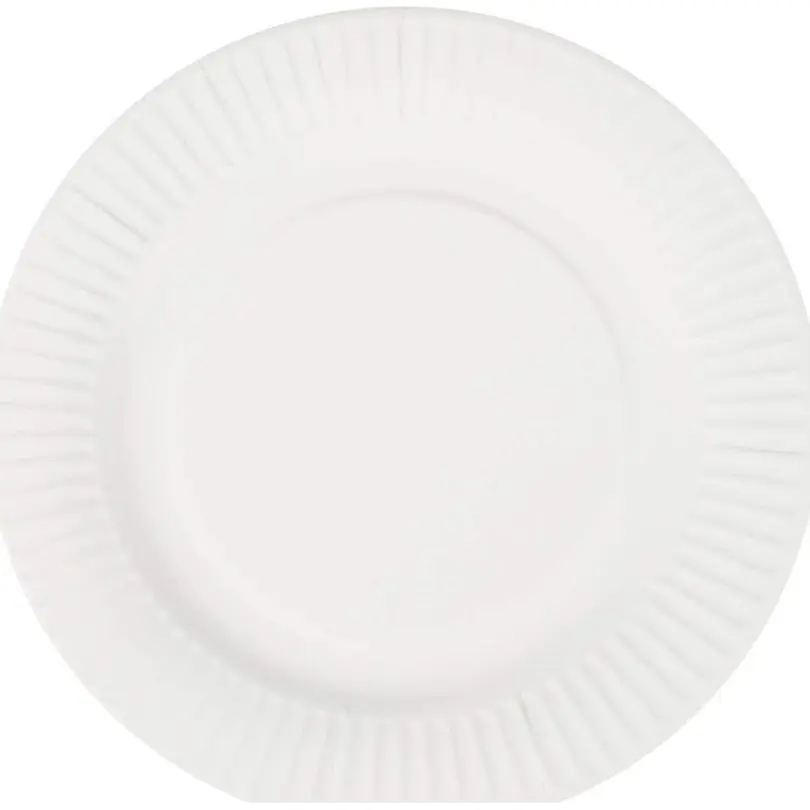 Flacher Teller 25er-Set Pure
