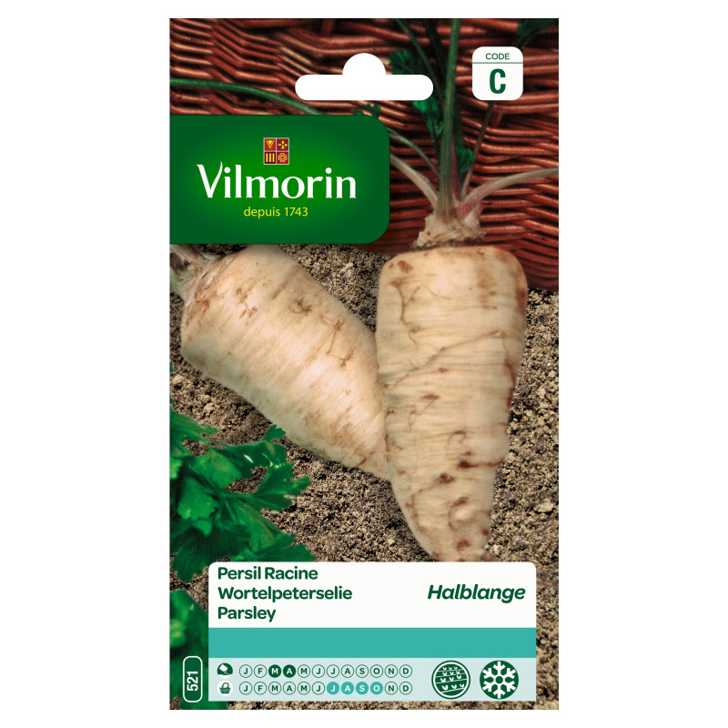 Semences de persil Racine Halbange VILMORIN