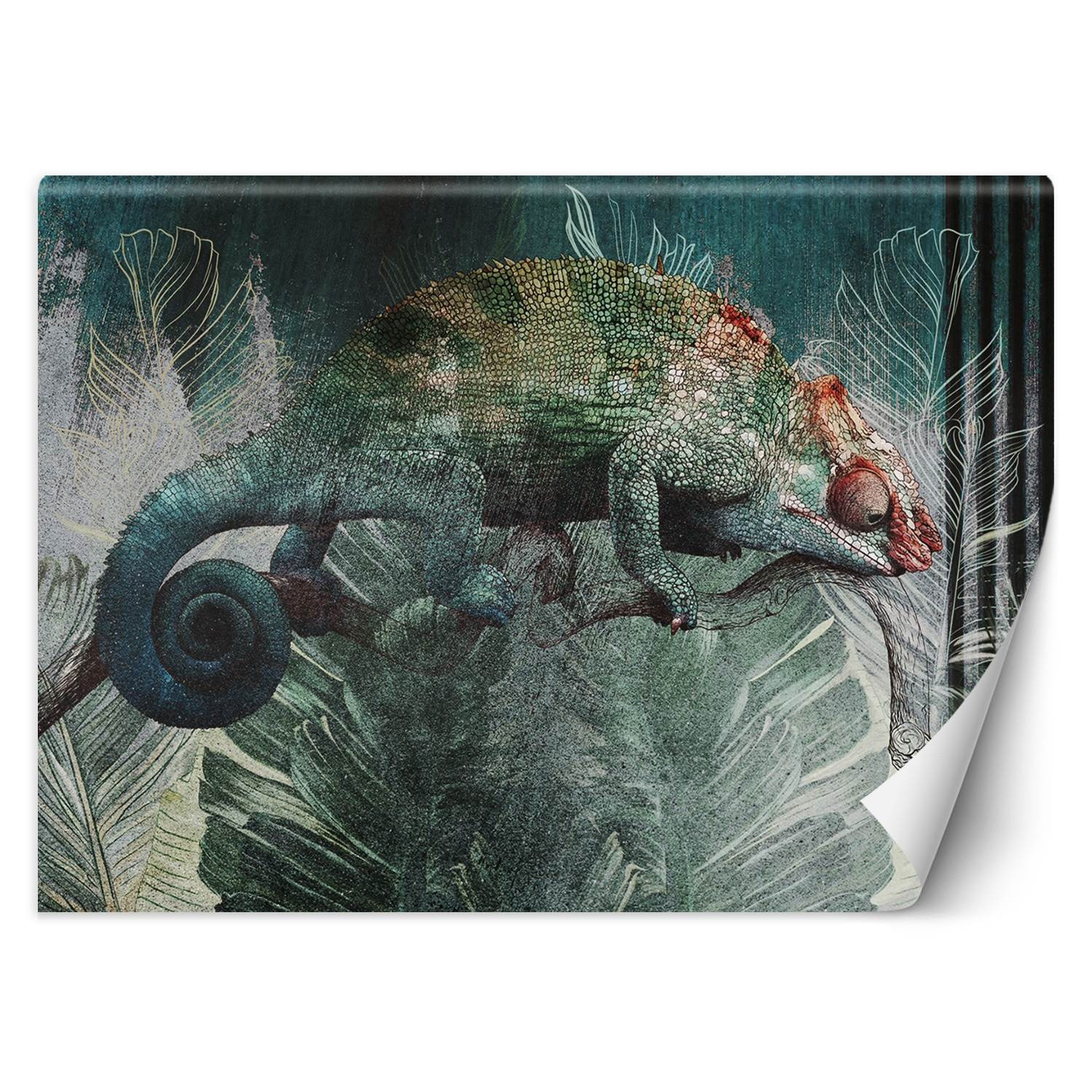 Feeby Fototapeta, Kameleon tropikalny las natura 150x105