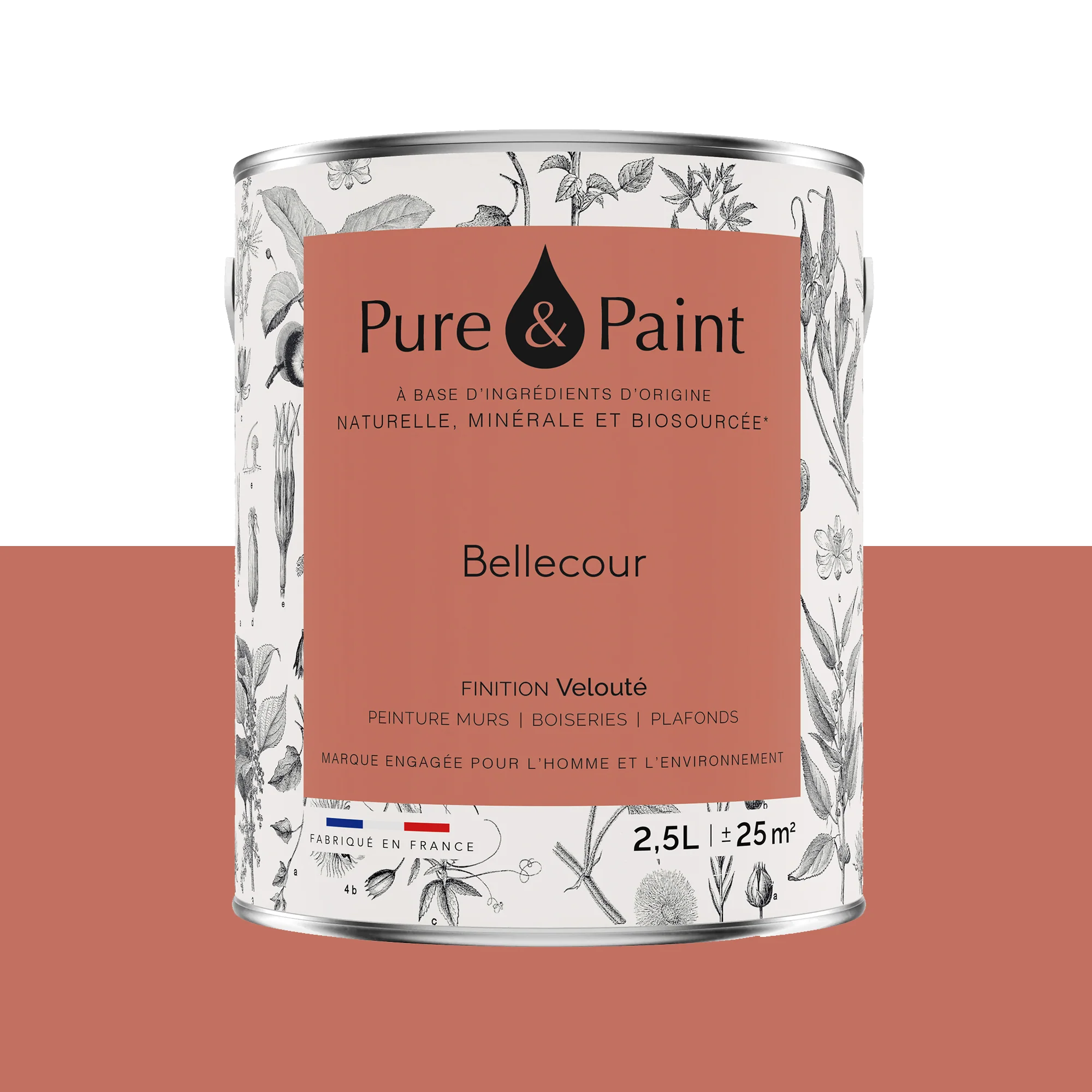 Pure and Paint Peinture Peinture BELLECOUR