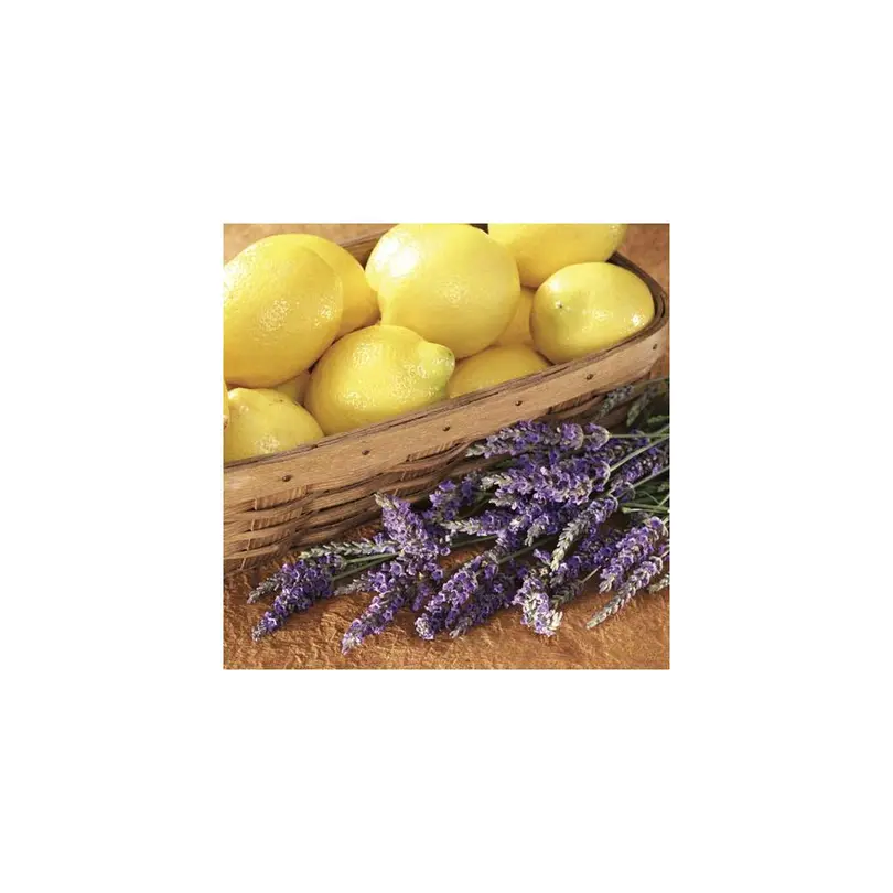 Wachs-Pod Lemon Lavender