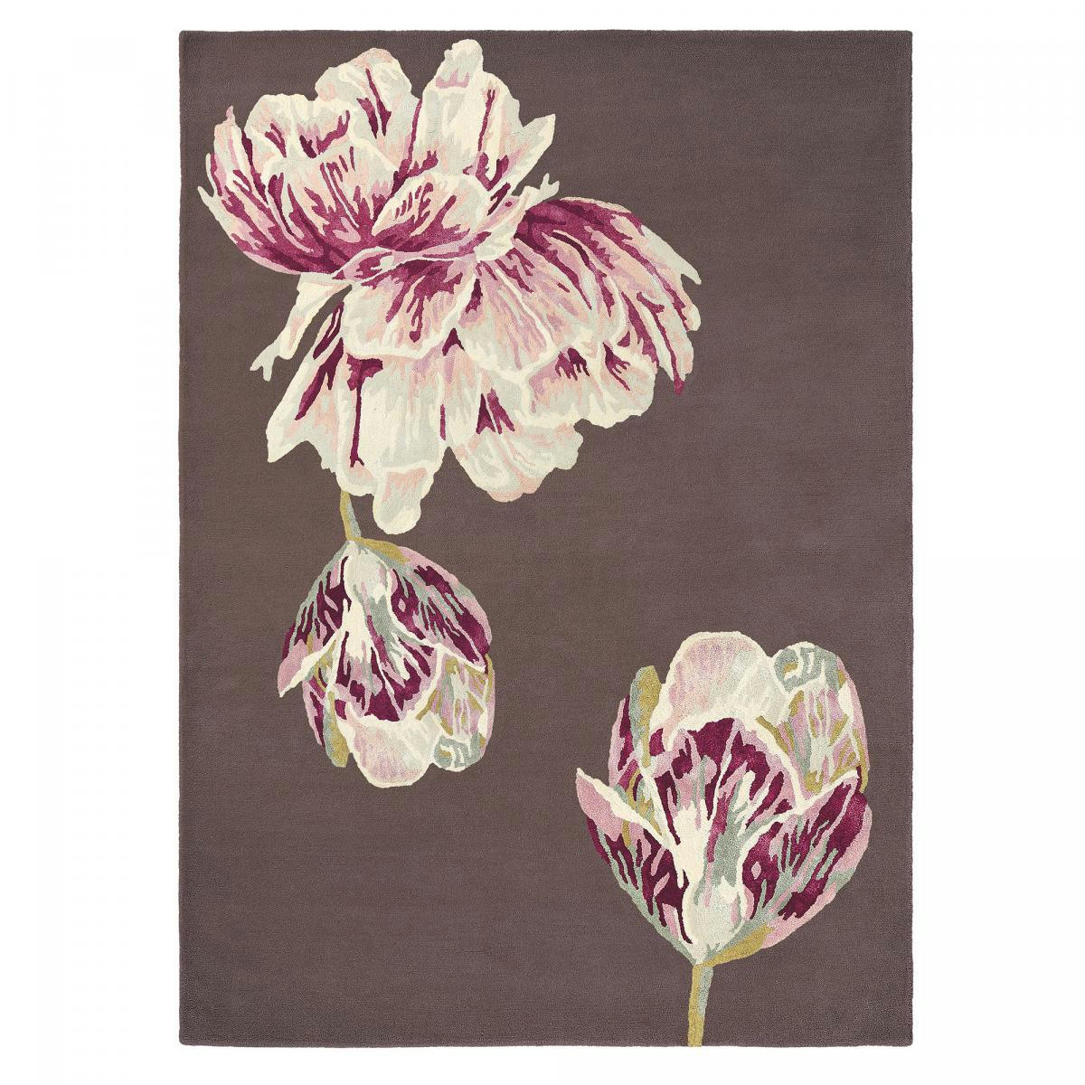 TRANQUILITY TB 1A2T - Tapis salon marron 250x350