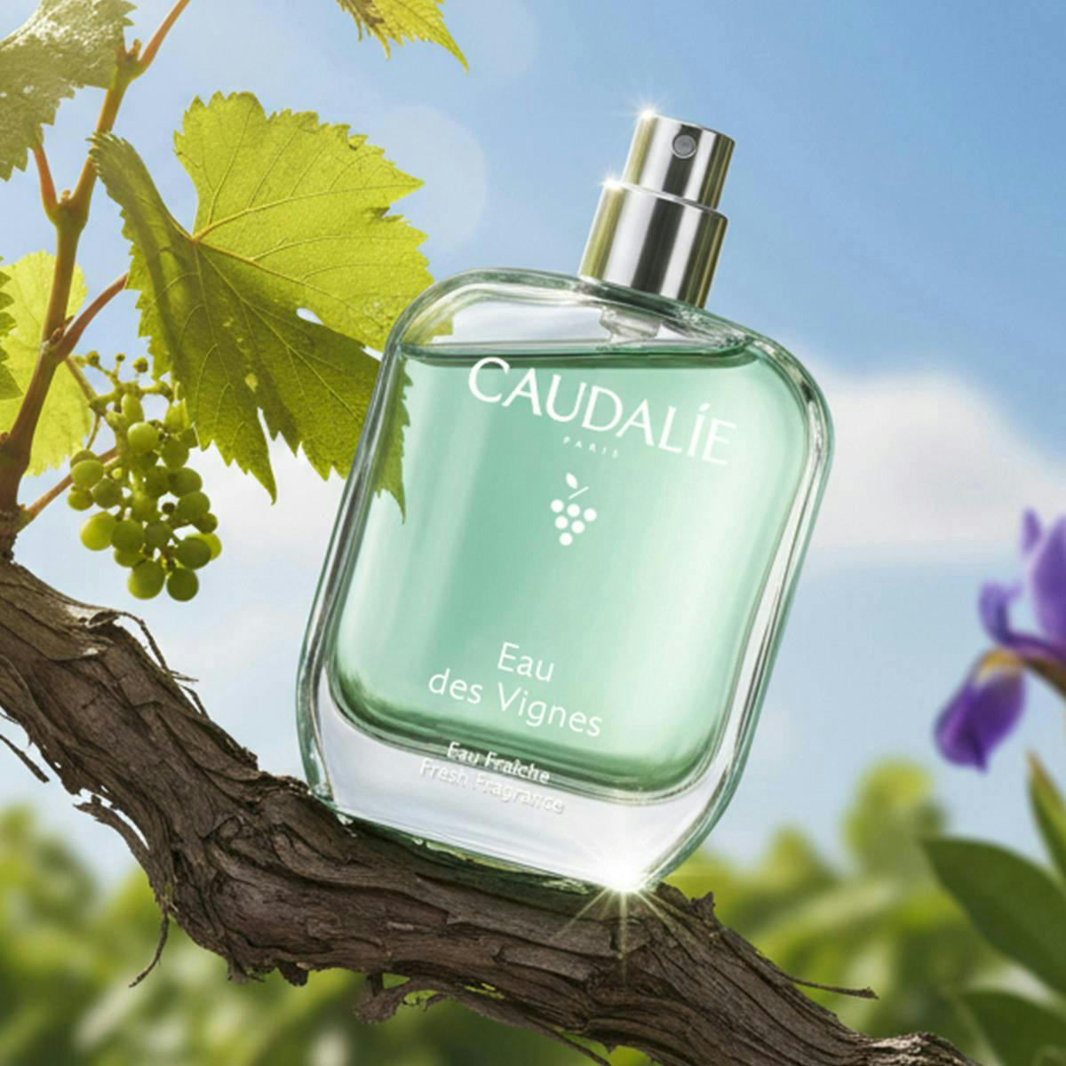 Eau Fraîche Eau des Vignes