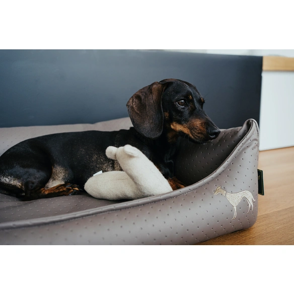 Hundespielzeug, mehrfarbig