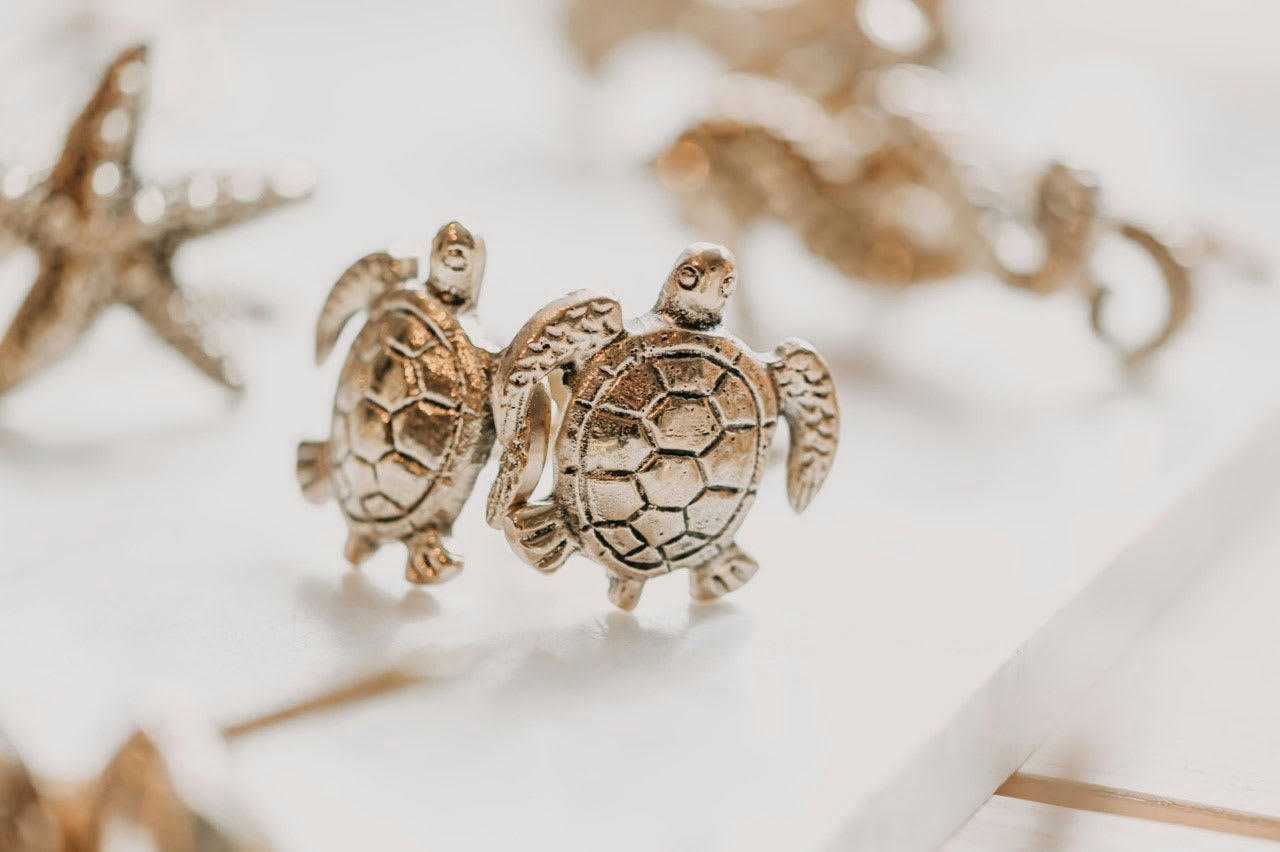 TOMMY - Bouton de tiroir tortue 4cm