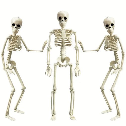 NNETM Set 3pcs 40.64cm Posable Halloween Skeleton Decorations Haunted Houses, Graveyards, and Indoor Outdoor