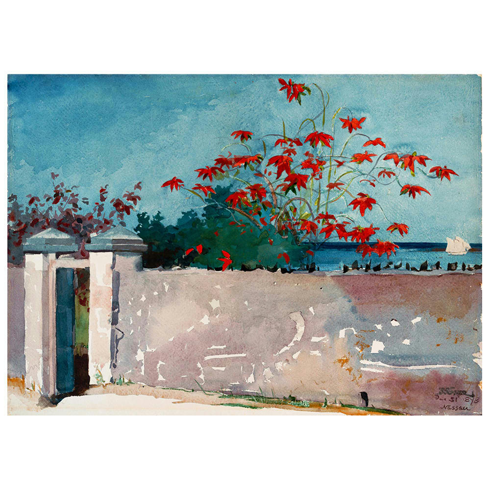 - Tableau impression sur toile mur à Nassau Winslow Homer 80x110cm
