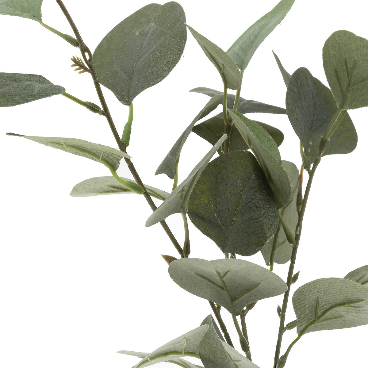 Artificial eucalyptus H.45 cm