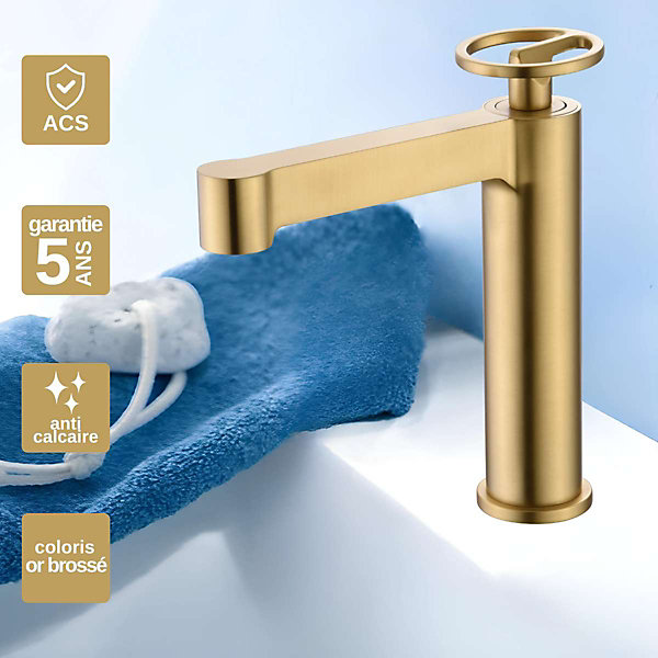 Mitigeur de Lavabo Anti-Calcaire Bec Bas Or Brossé IMEX OLIMPO BDC033-1OC