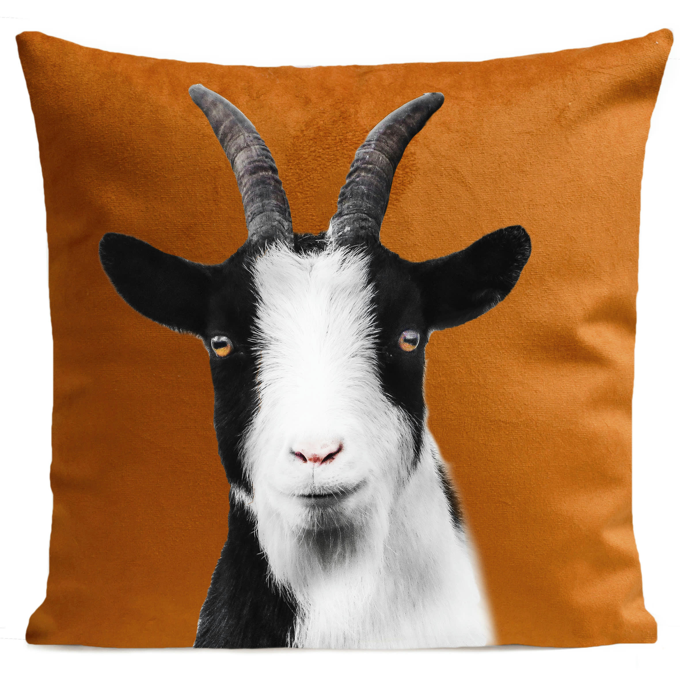 - Coussin animal chèvre suédine orange 40x40cm