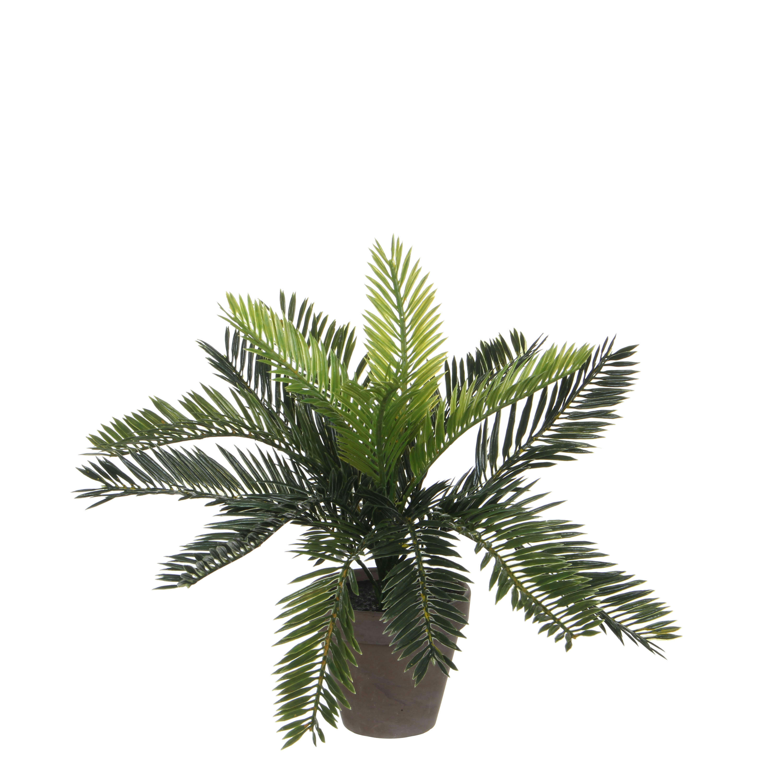 - Palmier cycas artificielle en pot H33