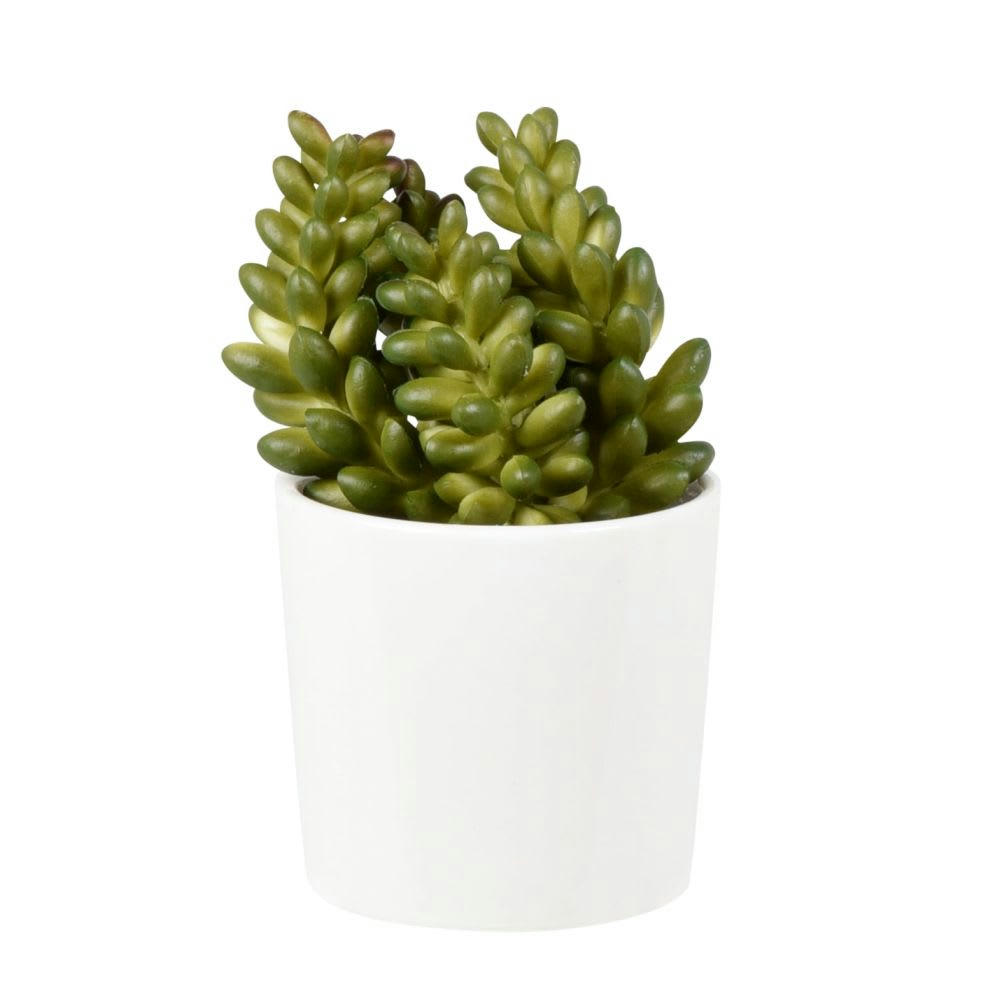 RAMSES - Succulente artificielle verte et pot en argile blanc