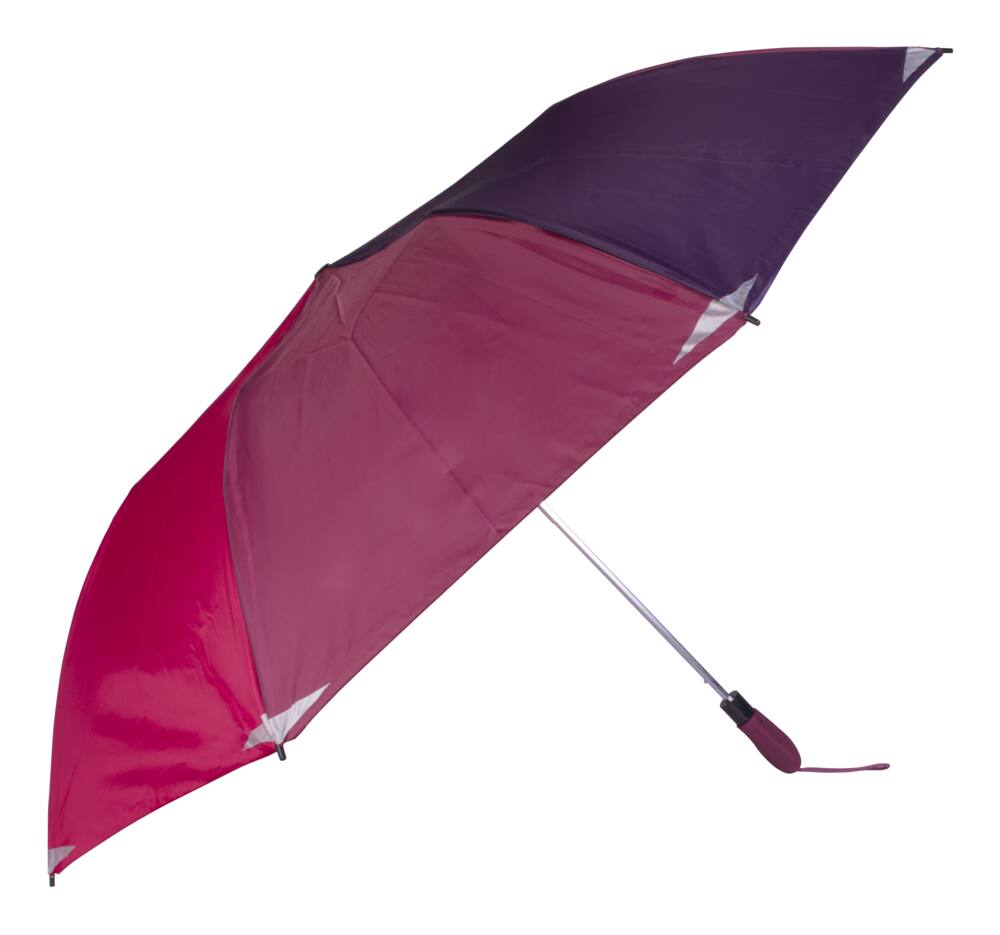 RainTech Auto Open 2-Person Umbrella, 56-in, Assorted Colours