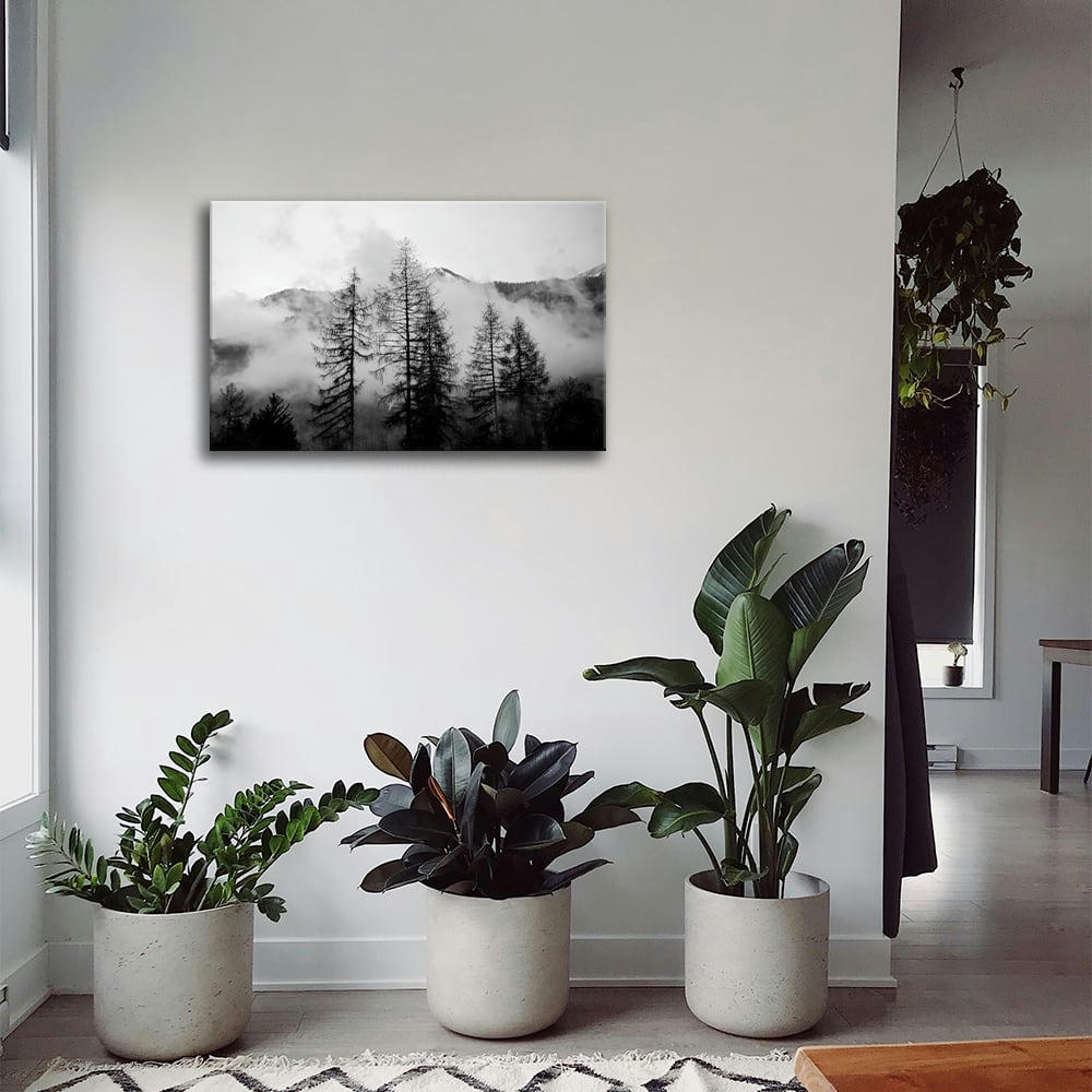 - Tableau impression sur toile des pins nus dans les nuages 60x90cm