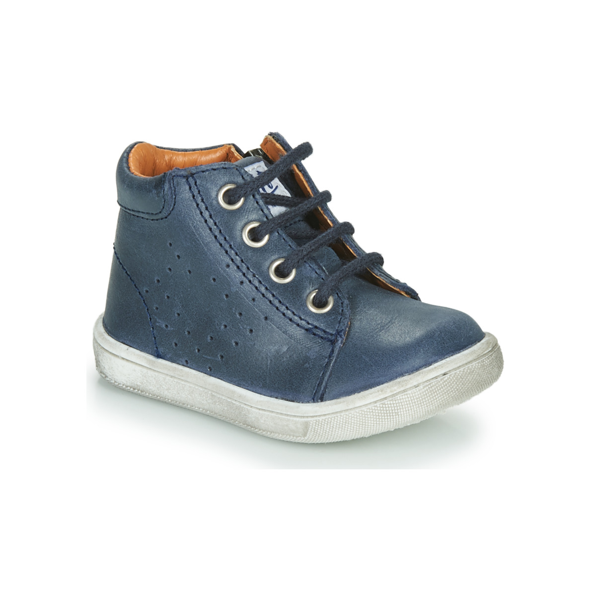GBB - FOLLIO - Blue
