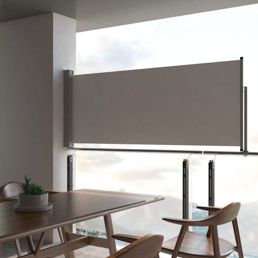 NNEVL Patio Retractable Side Awning 100 x 300 cm Grey
