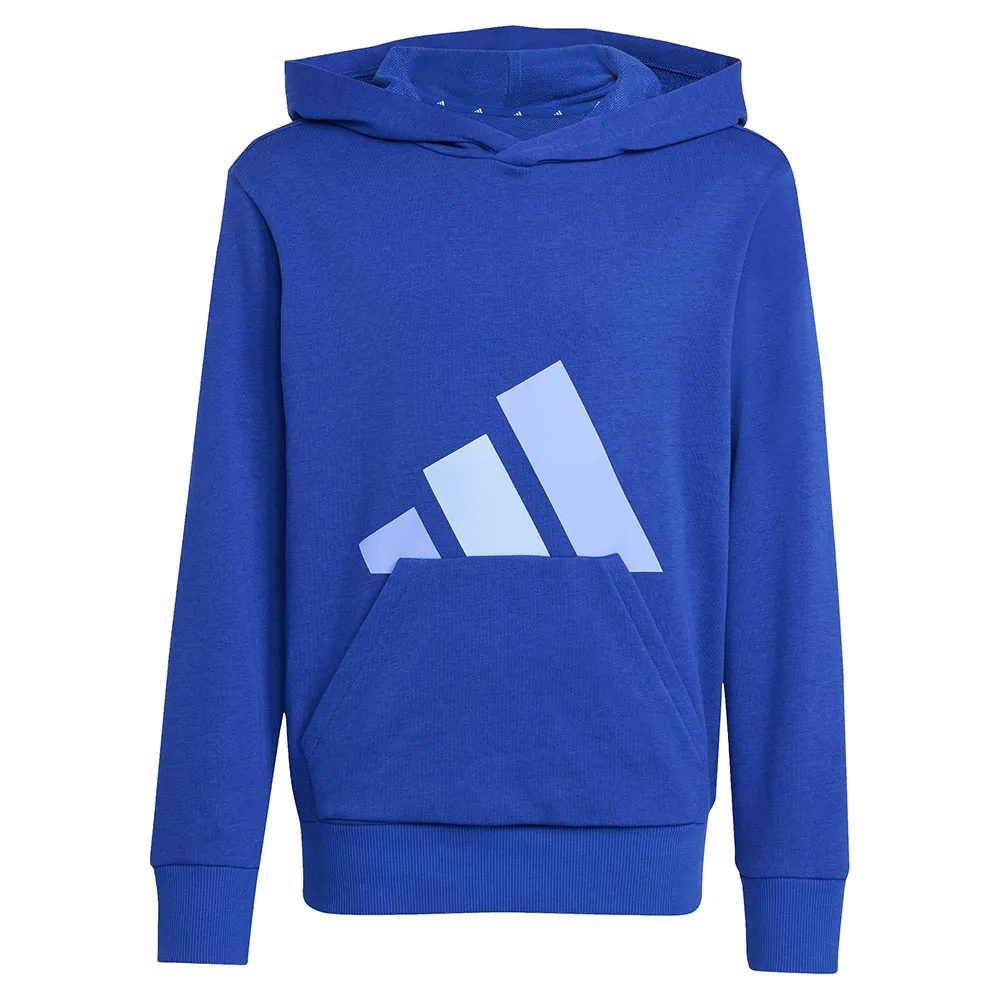 adidas Essentials hoodie