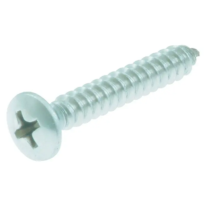 PLATESKRUE STABILIT RUSTFRITT STÅL 2,9X19MM 20 STK