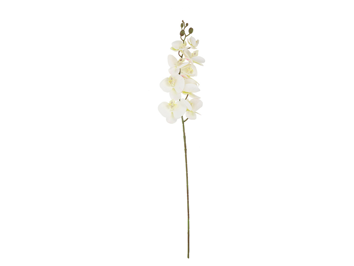 Storczyk gałązka 95 cm beżowa