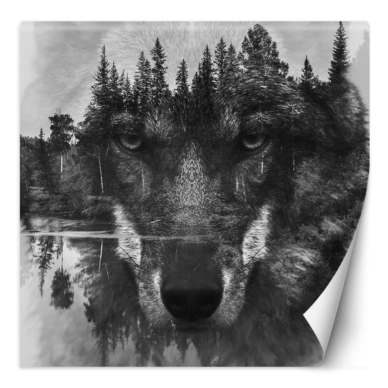 Feeby Fototapeta, Wilk las we mgle jezioro 100x100