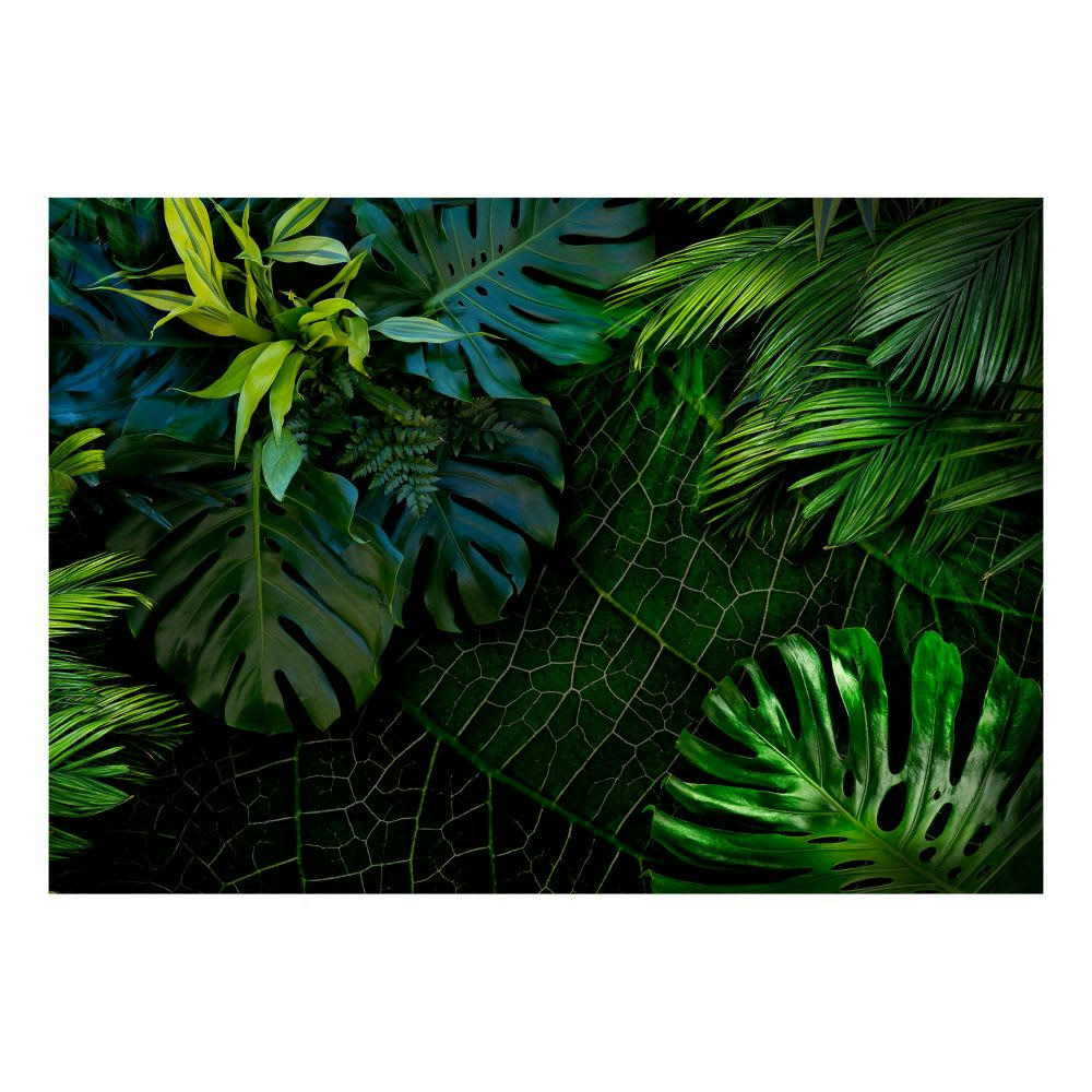 - Papier peint panoramique jungle sombre 300x210 cm