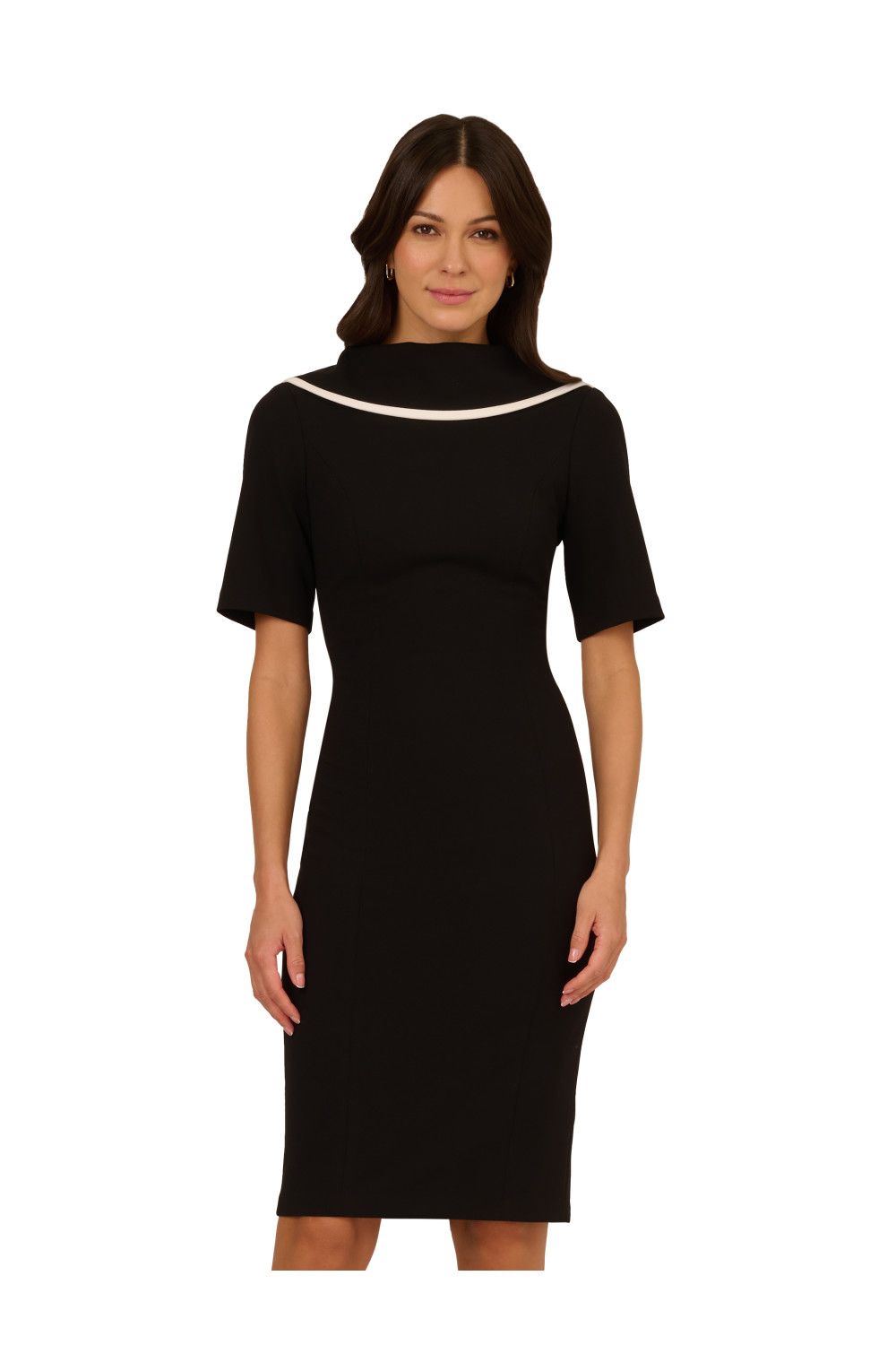 Adrianna Papell Roll Neck Sheath With V Back