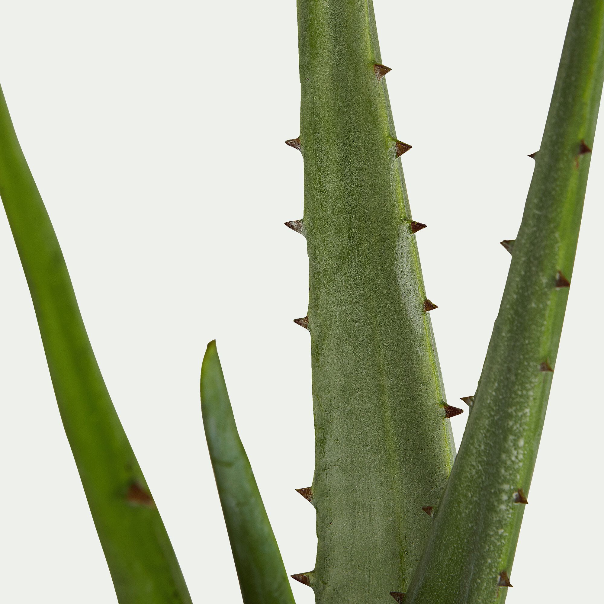 ALOE - Plante artificielle aloe - vert H52cm