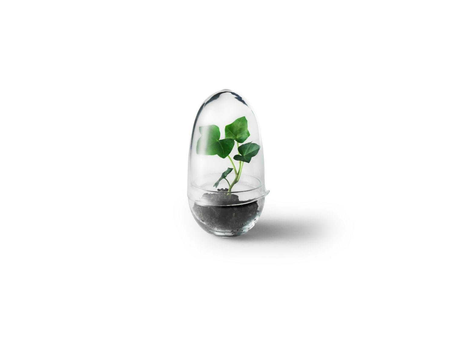 GROW - Mini-serre Grow Verre soufflé transparent S