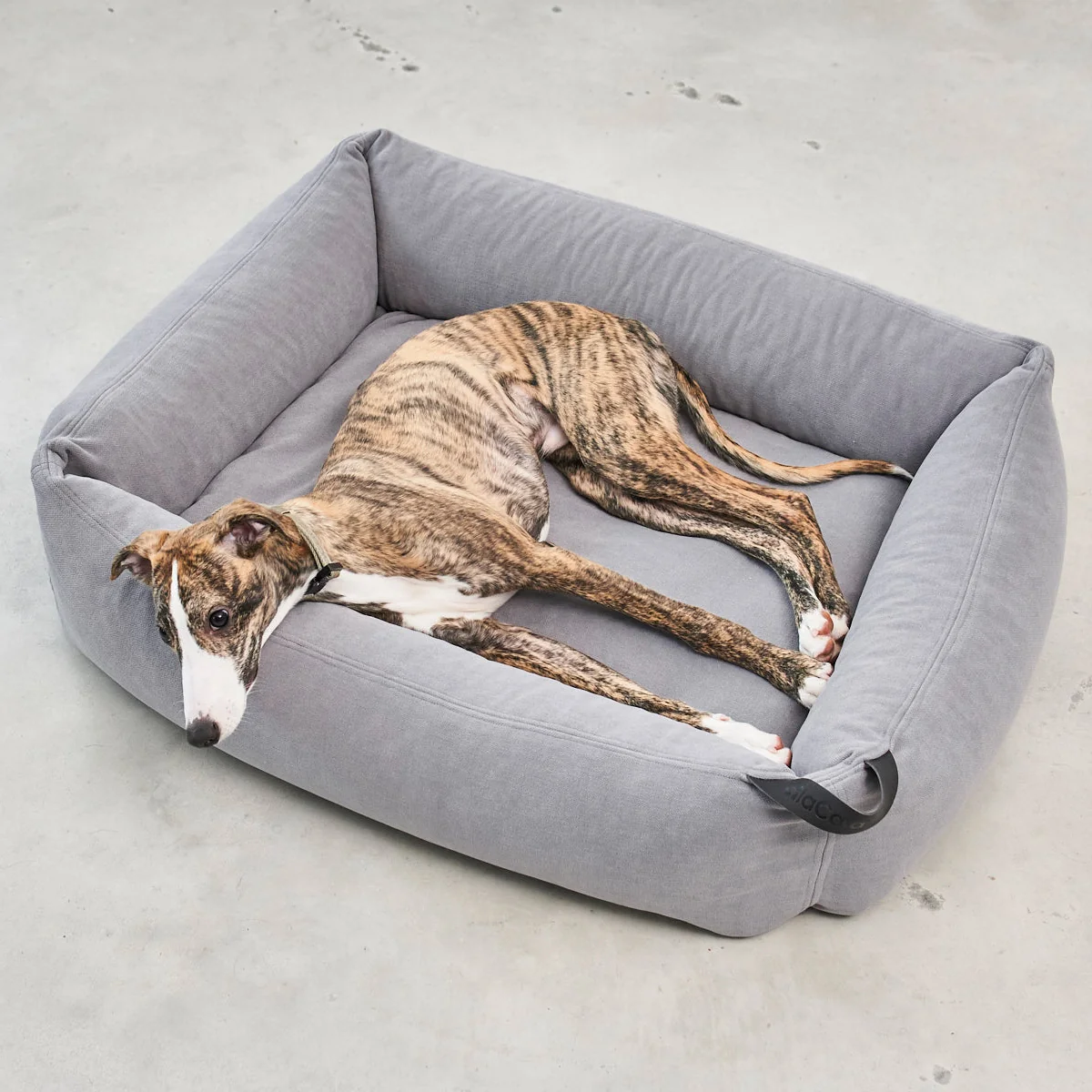 MiaCara - Comodo Hundebett