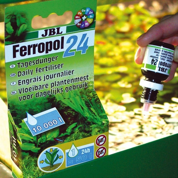 Tagesdünger »Ferropol«, 10 ml