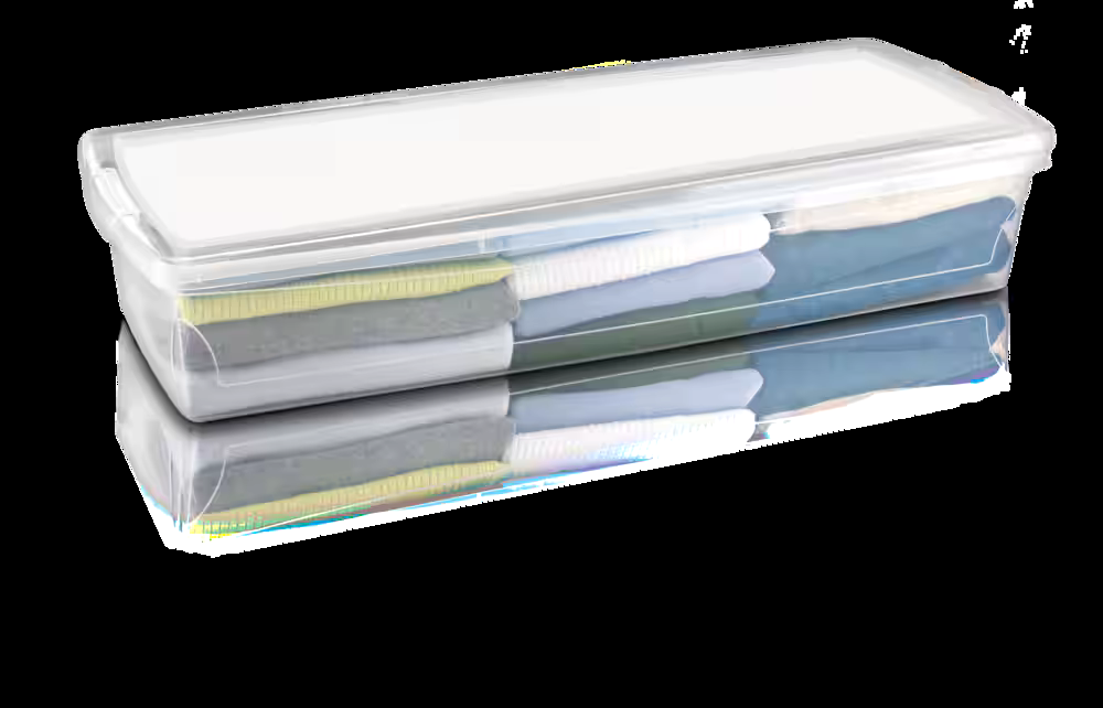 type A Clarity Transparent Under the Bed Storage Box with Lid, 50-L