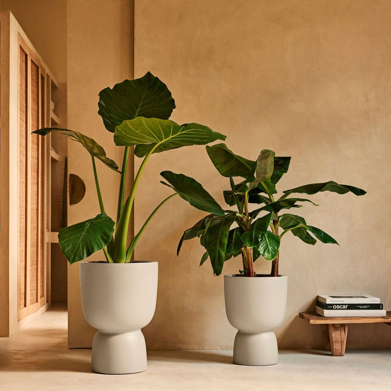 Elho Amber Coupe 35 - Balanced beige - L 35 x B x H 49 cm - Binnen en