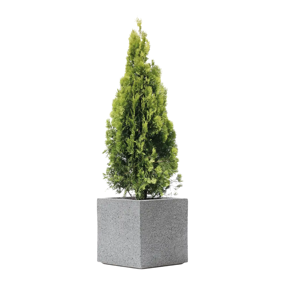 Gartentopf Rockline