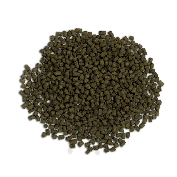 Fischfutter »Bug Bites«, 100 g