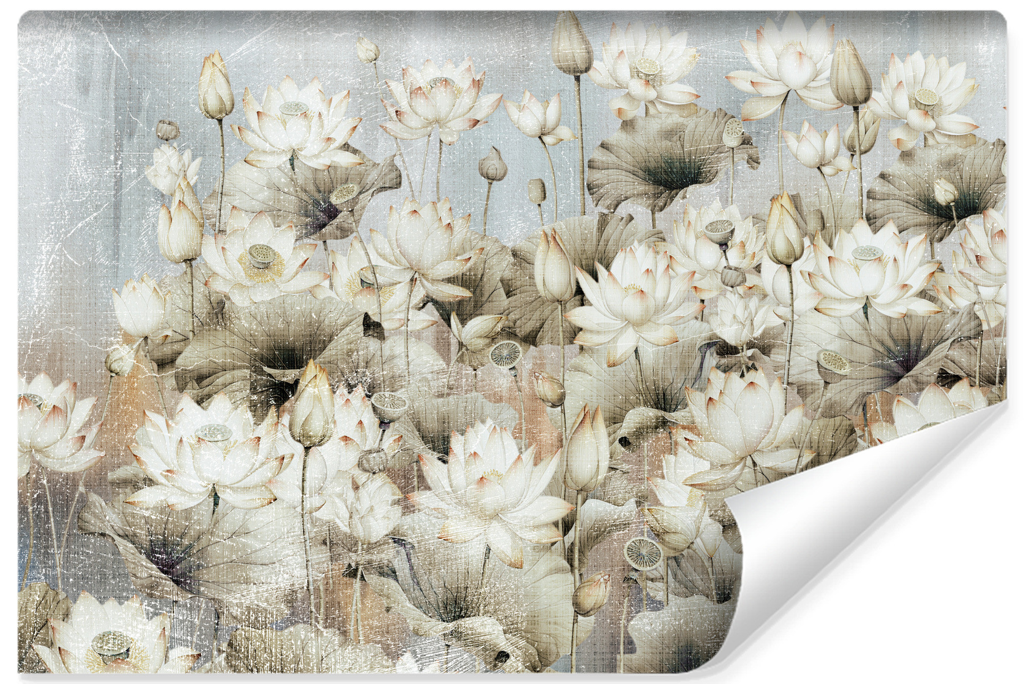Fototapeta Kwiaty i Liście Lotosu 90x60cm