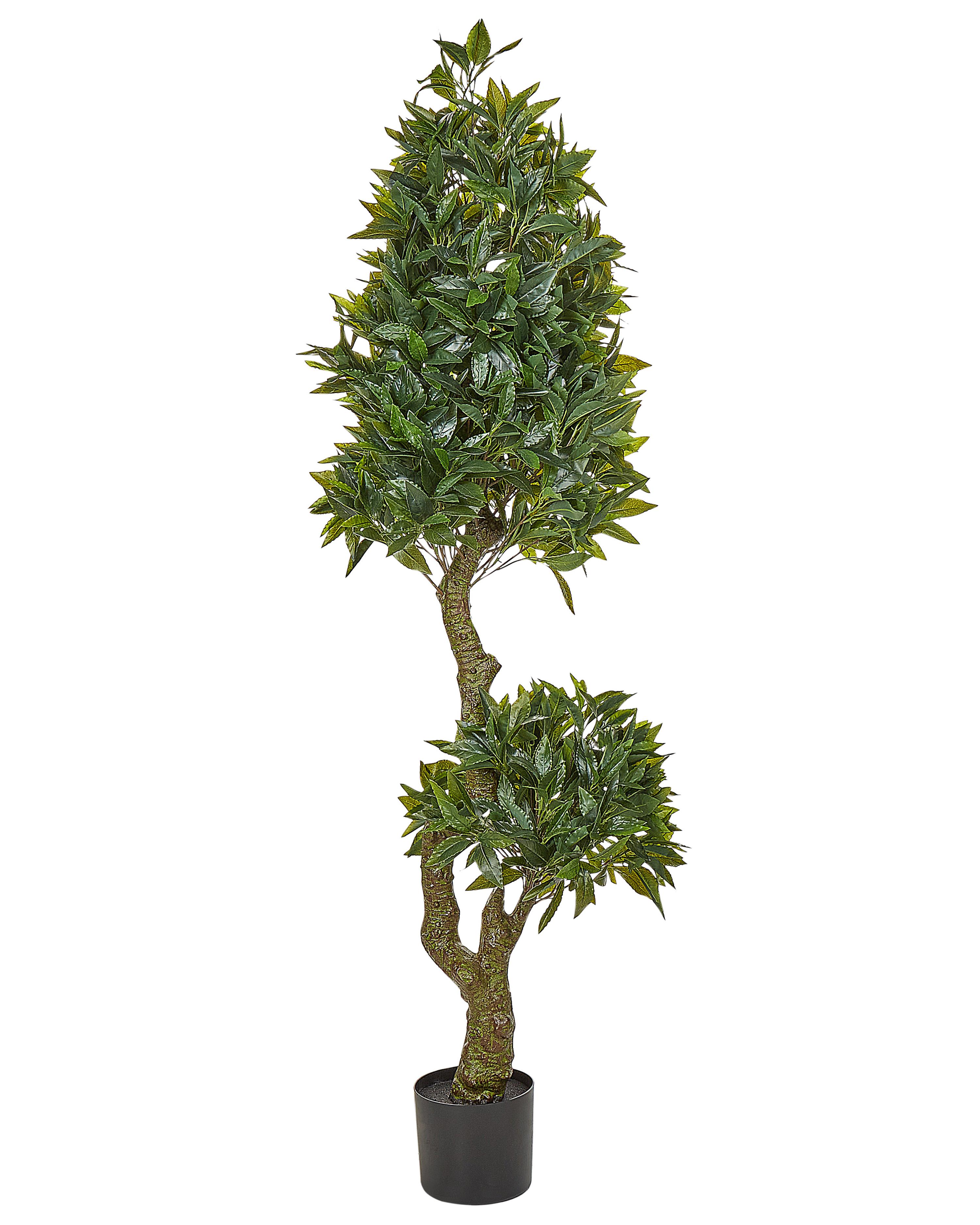 Artificial Plant LAURELE 160 cm Green