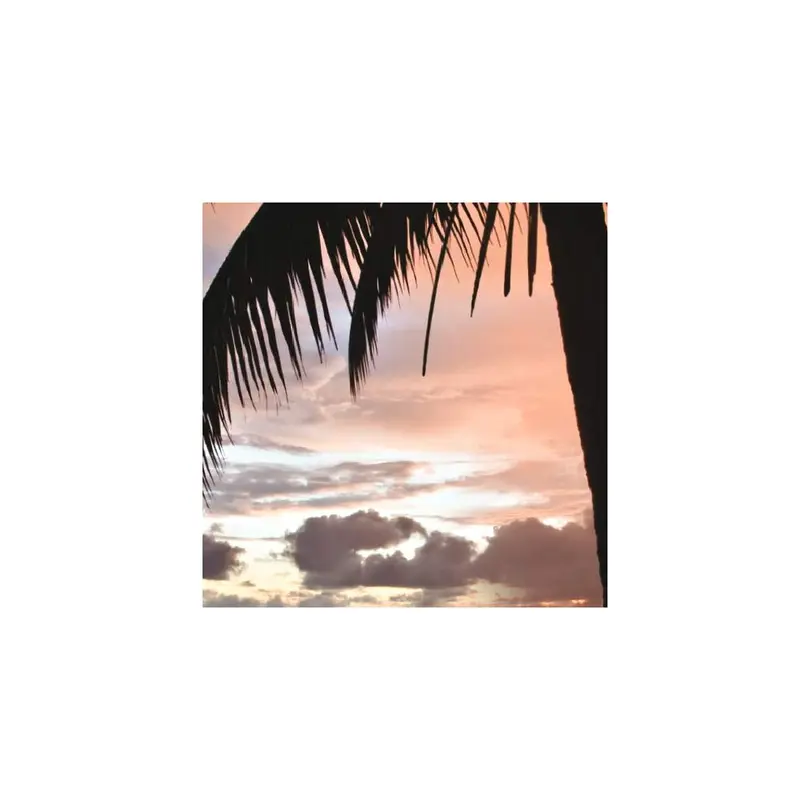 Wachs-Pod Black Coconut