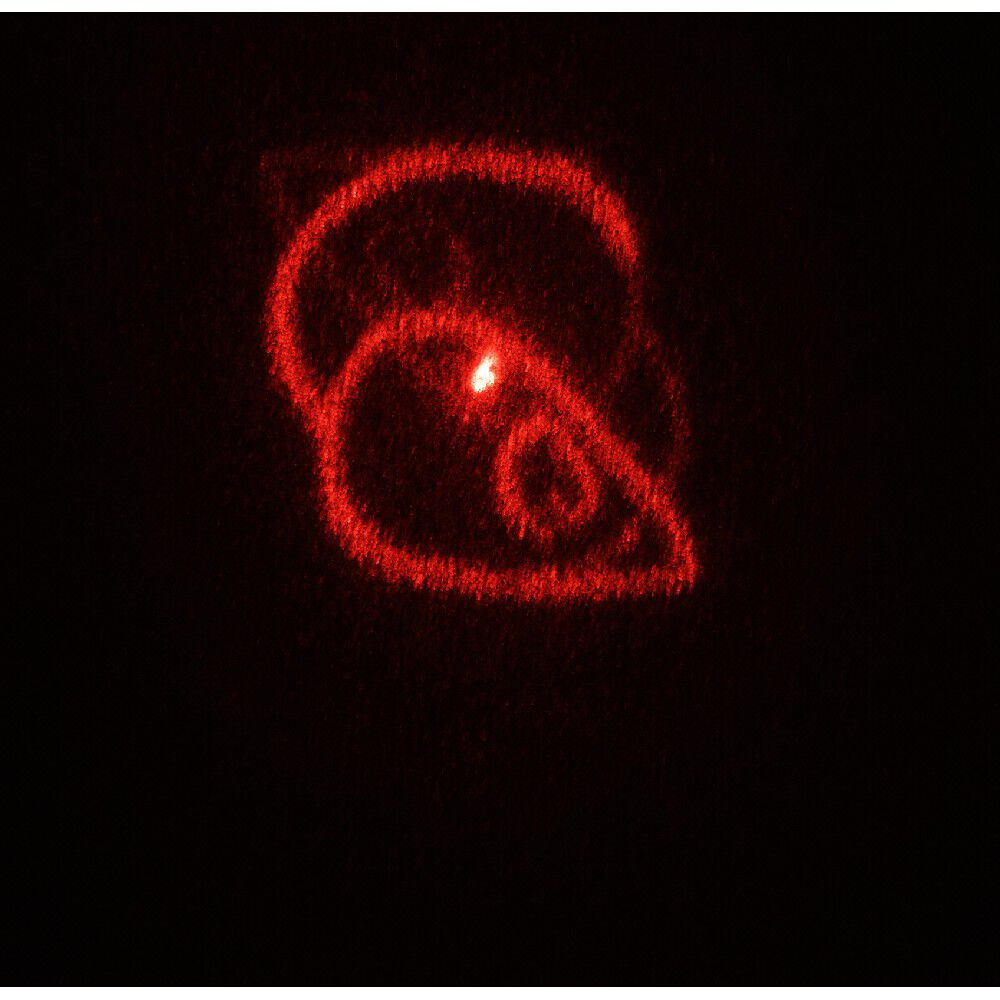 Laser pour chien ou chat avec 5 motifs différents