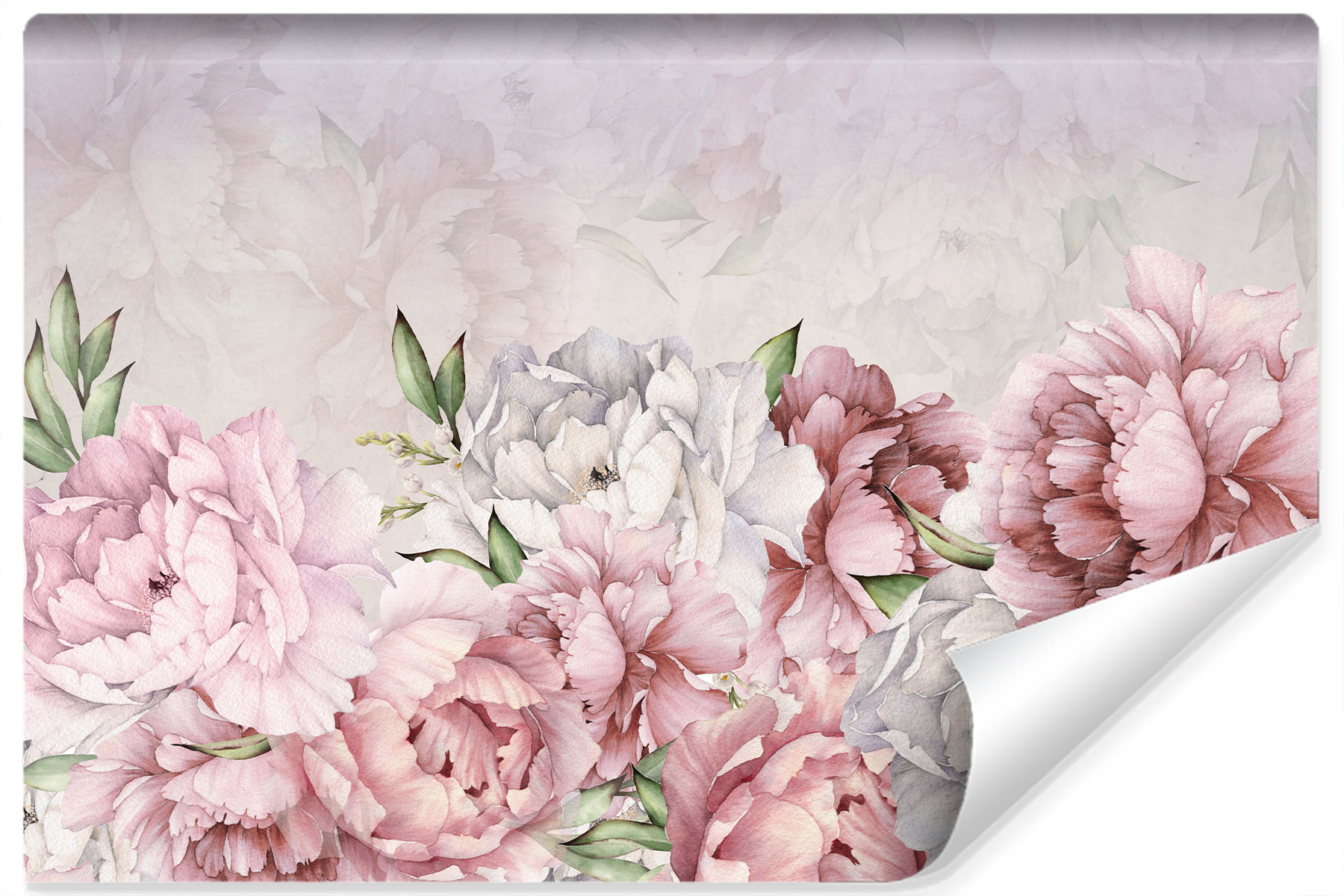 Fototapeta Klasyczne Piwonie Peonie 90x60cm